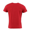 Ανδρικό T-Shirt Stripes on "Superior" Campus-Two Colors