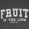 Ανδρικό T-shirt "Crackle" Fruit of the Loom