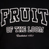 Ανδρικό T-shirt "Established" Fruit of the Loom
