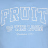 Ανδρικό T-shirt "Established" Fruit of the Loom