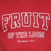Ανδρικό T-shirt "Established" Fruit of the Loom