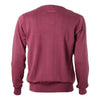 Ανδρική Πλεκτή Μπλούζα "Vneck" Battery- More Colors